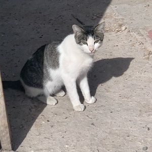 Meet your Posher, Areli